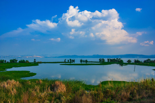 云南滇池湿地风光