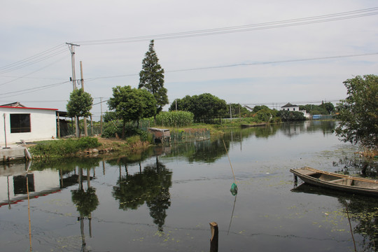 池塘