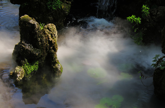 盆景