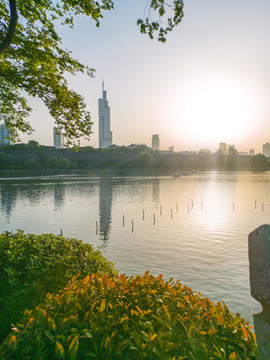 南京玄武湖落日远望紫峰大厦