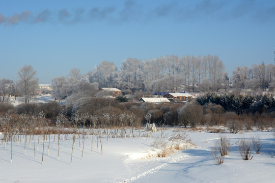 冬景