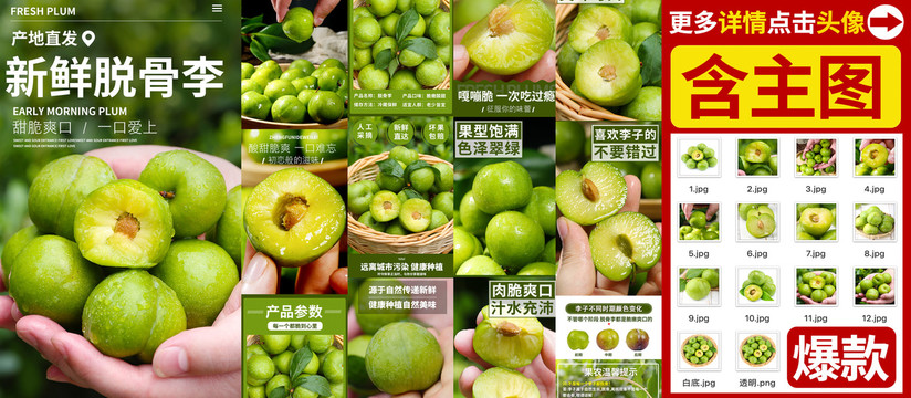 脫骨李詳情
