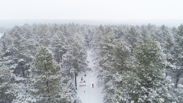 林海雪原