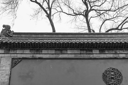 中式琉璃瓦围墙和枯树枝