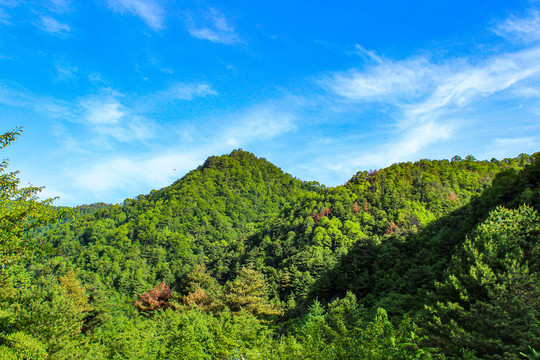 太平峪太白山