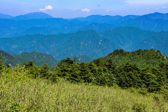 秦岭