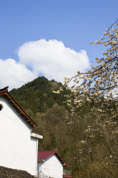 山里农家环境风光