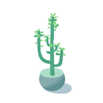 綠色系清新扁平插畫植物仙人掌