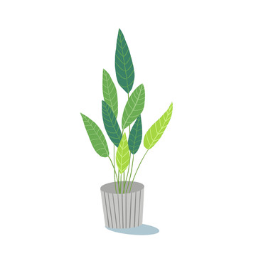 北歐小清新扁平插畫植物裝飾