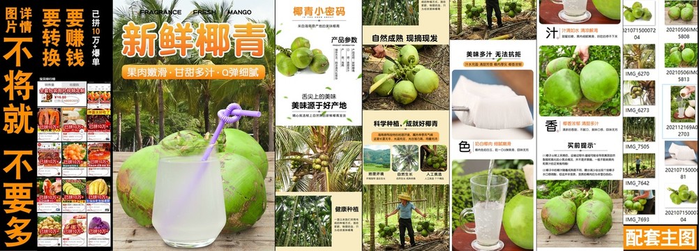 新鮮椰青詳情