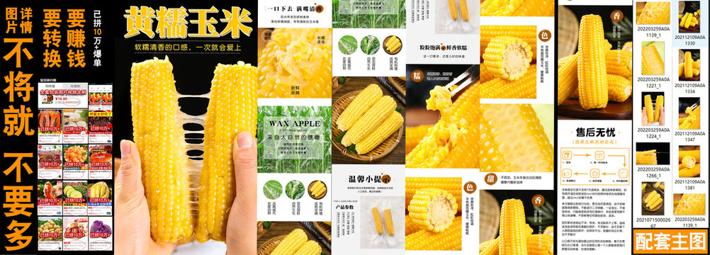 黃糯玉米詳情
