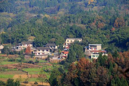 乡村人家