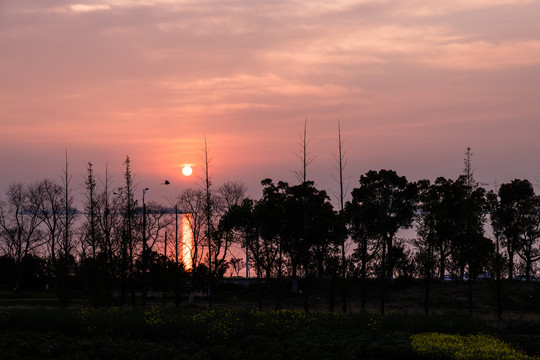 落日丽波湾