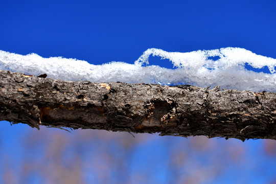 冰雪