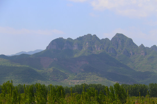 青山绿树