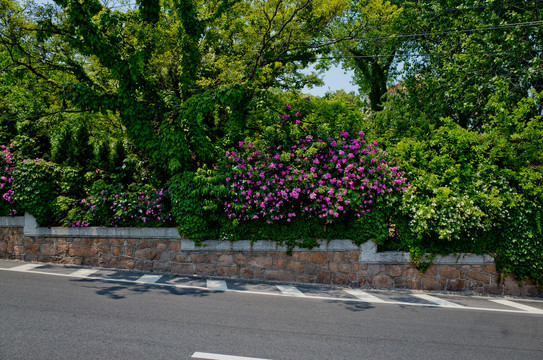 青岛风光