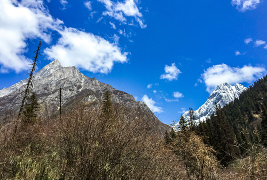 四姑娘山风景区