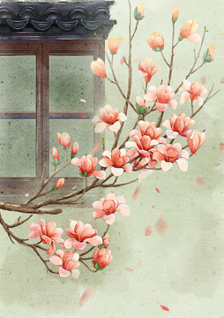 古風背景插畫玉蘭花開