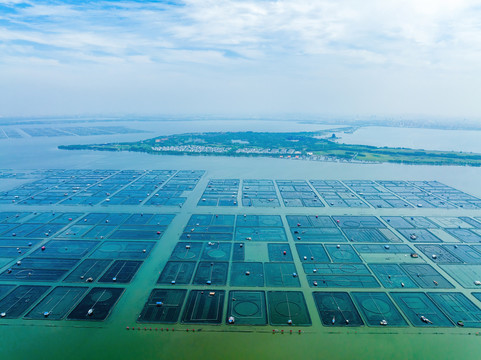 江苏苏州阳澄湖大闸蟹养殖基地