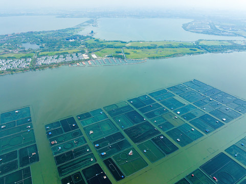 江苏苏州阳澄湖大闸蟹养殖基地