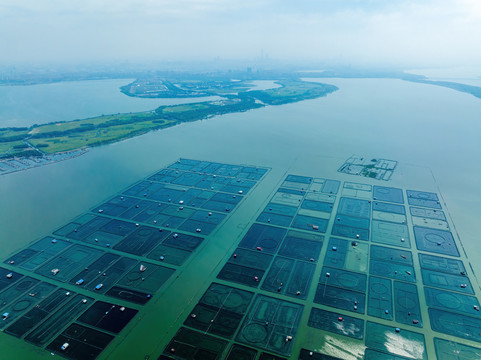 江苏苏州阳澄湖大闸蟹养殖基地