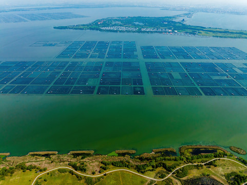 江苏苏州阳澄湖大闸蟹养殖基地