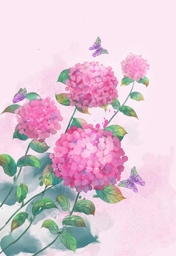 繡球花