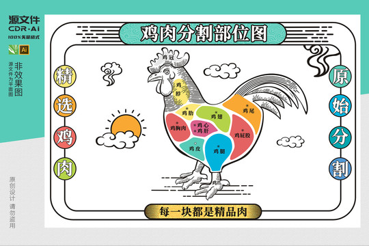雞肉部位分割圖