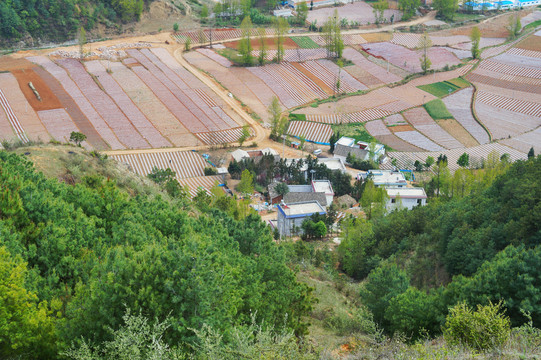 青山乡野