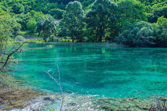 九寨沟火花海