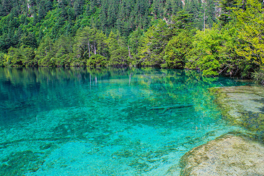 九寨沟火花海