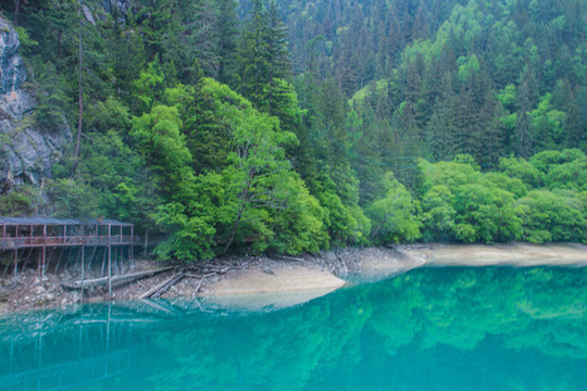 九寨沟熊猫海风景区