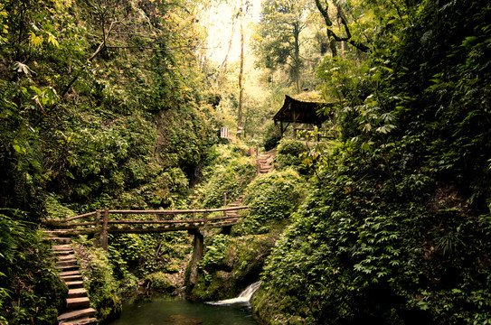 四川成都青城山