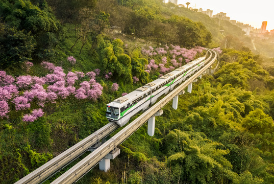 开往春天里的列车