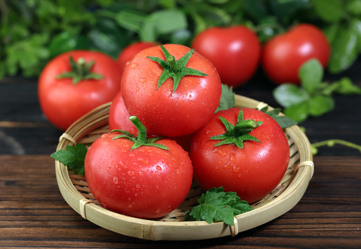 新疆新鲜番茄