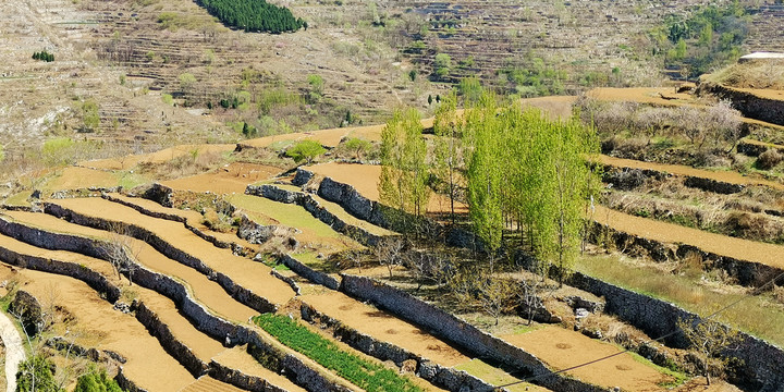 山村梯田