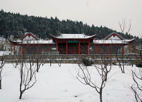 雪后小景