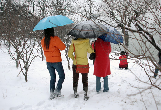 雪后游客