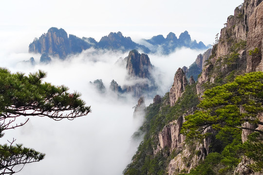 黄山群峰顶