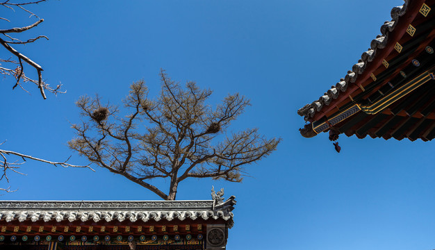 五台山黛螺顶寺庙古建斗拱