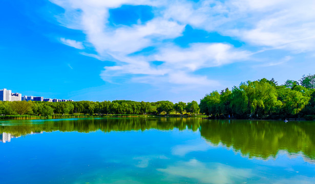 大明宫遗址公园湖畔美景