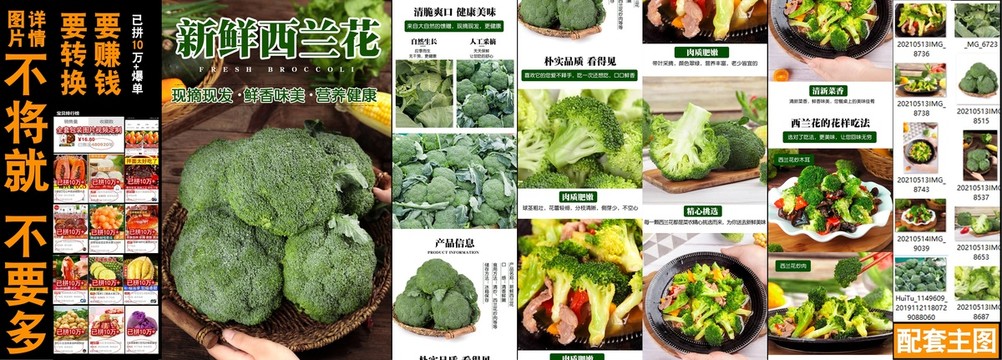 新鮮西蘭花詳情