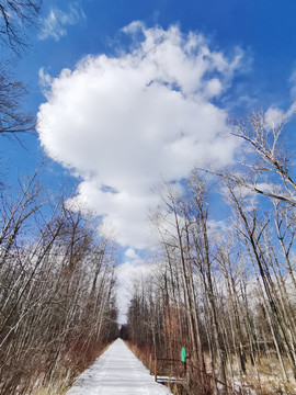 大山里的春天