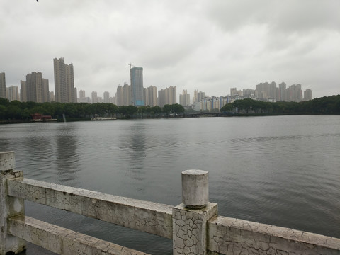 东湖边风景