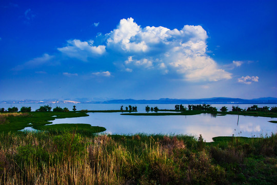 云南昆明滇池湿地风光