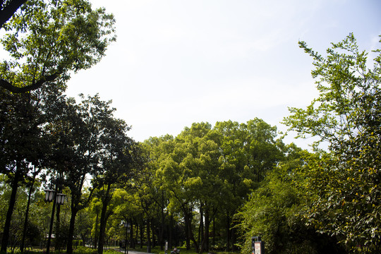 屈原公园风景