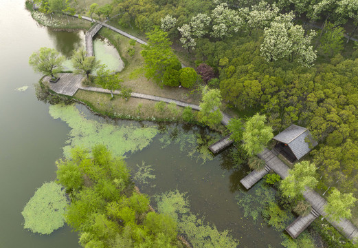 世界地球日的河流湿地生态