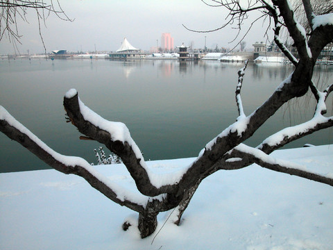 雪后小景