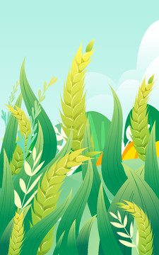 小满节气麦穗成长夏天麦子插画