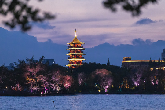 嘉兴豪股塔夜景